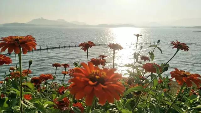 2019-2020七年级英语期末试题答案,七年级上册英语期末试卷2022答案