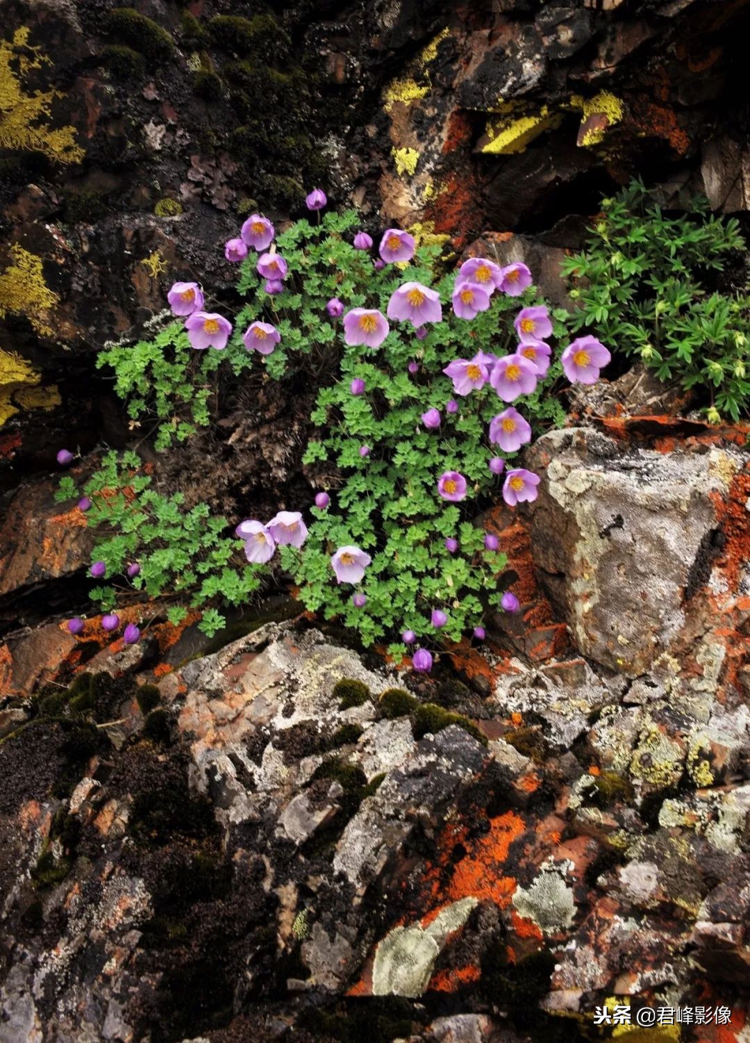 2018年那些感动瞬间,2018那些感动的视频