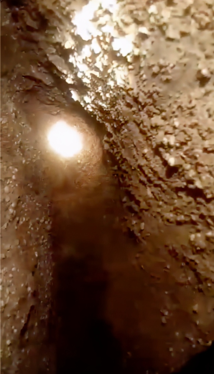 舍利子博物馆中国,舍利子中国博物馆