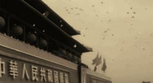 如何让老照片恢复清晰,老照片修复如新