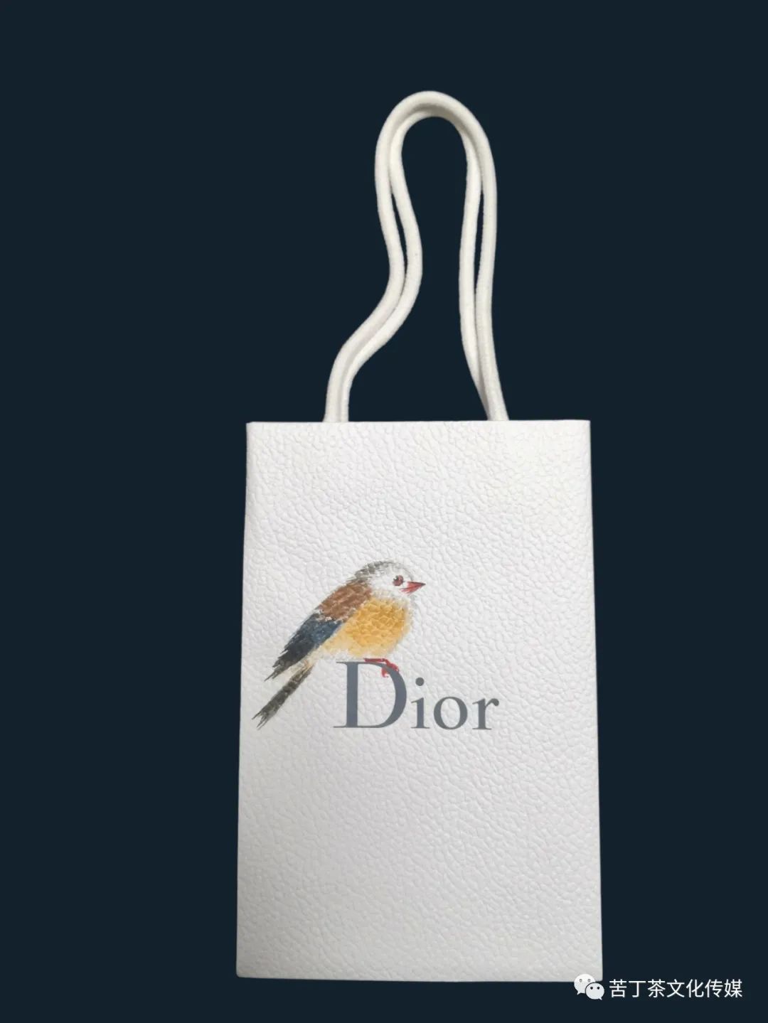 变废为宝---梅园创作的手提袋书画作品