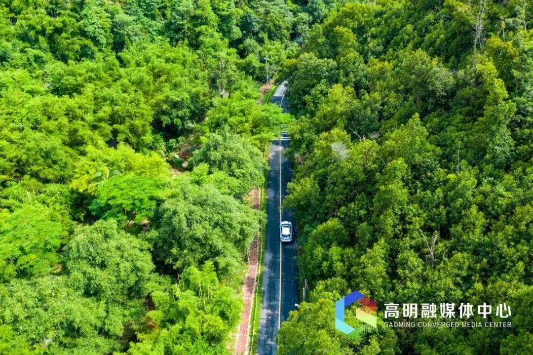 适合跨年夜去打卡的景点推荐,过年赏灯游玩好去处