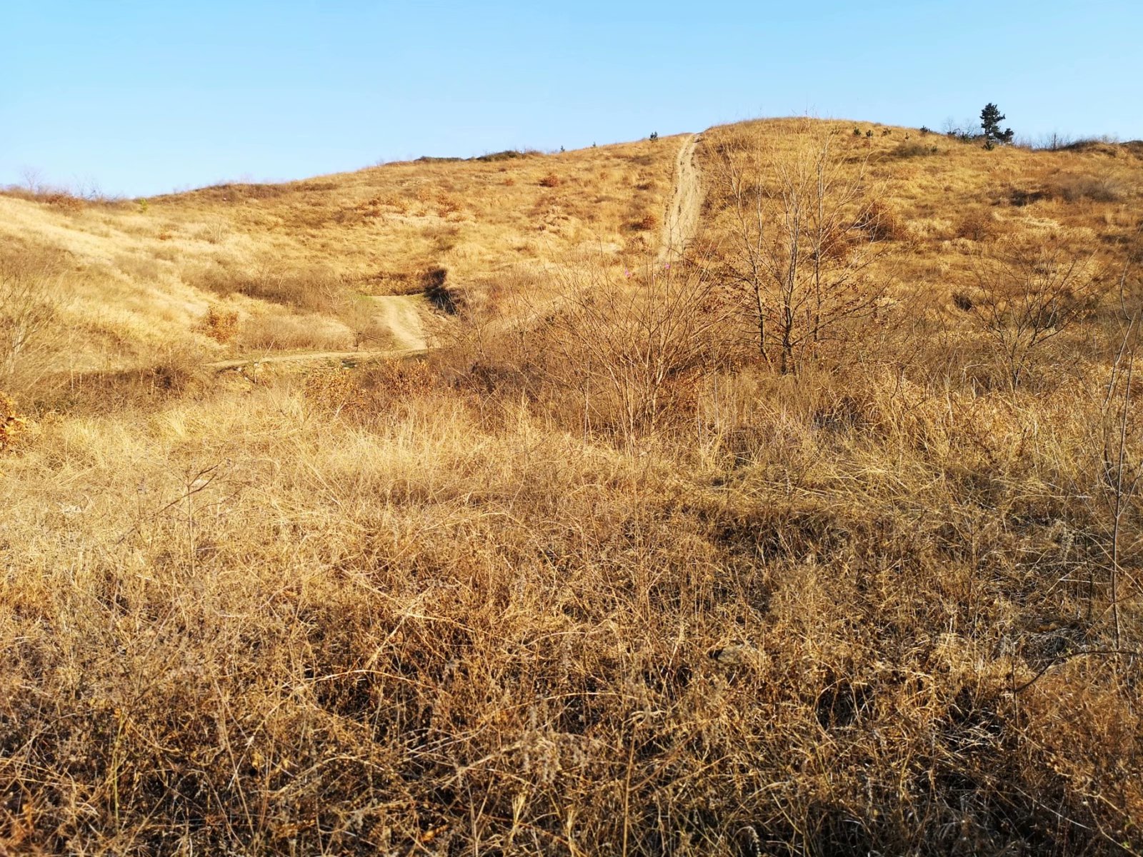 摩托周边旮旯游——探访蚌埠李楼鲁山寺遗址（上）