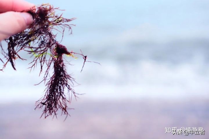 青岛好吃又好逛,青岛好吃档口