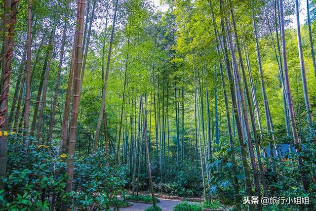 天目湖加南山竹海哪里泡温泉好,天目湖度假秘境享受绝美自然山水