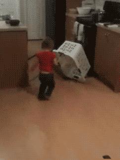 搞笑gif开心一刻我受了太多的委屈,开心一刻搞笑gif图