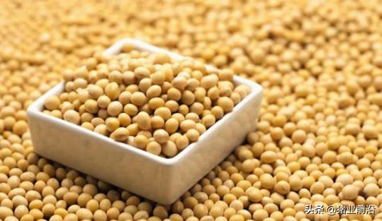 密封式猪舍臭气怎么消除,猪舍臭气