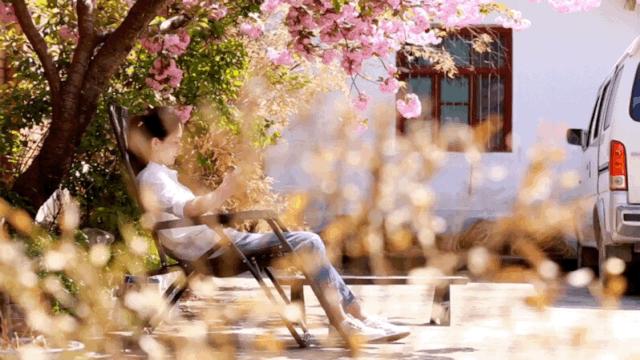 陕西秦岭最美的小城在哪里,秦岭深处的小县城暗藏着绝美秋色