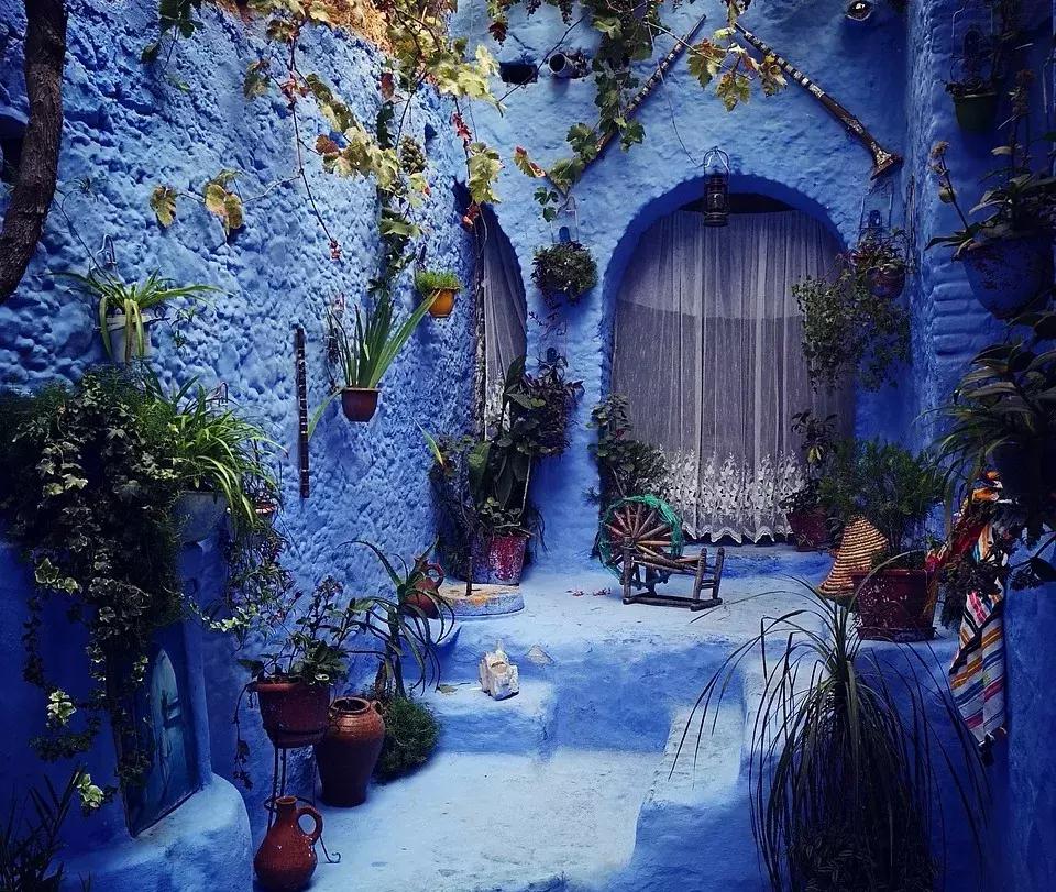 白本护照出境法国旅游免签吗,白本护照旅游去哪个国家比较好