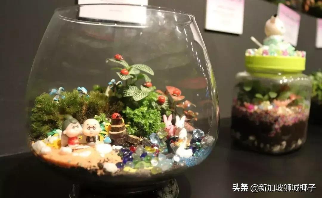 新加坡旅游攻略推荐花园,新加坡花园最新消息