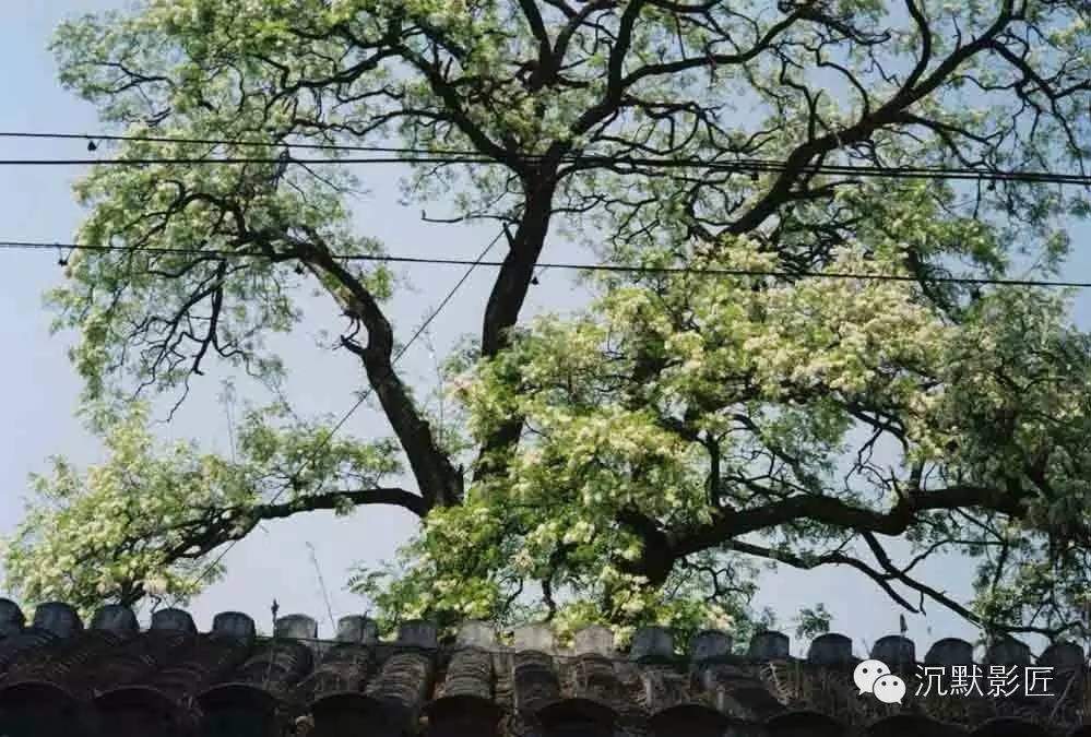 干货摄影师胶片相机推荐,影匠手机摄影