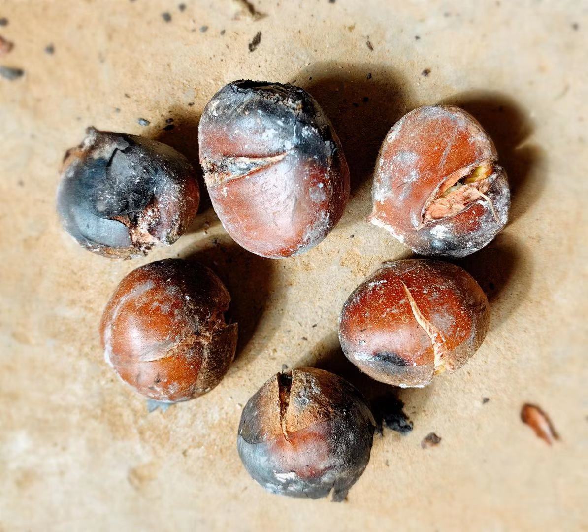 农村7岁小孩在做什么,7岁男孩回家玩什么