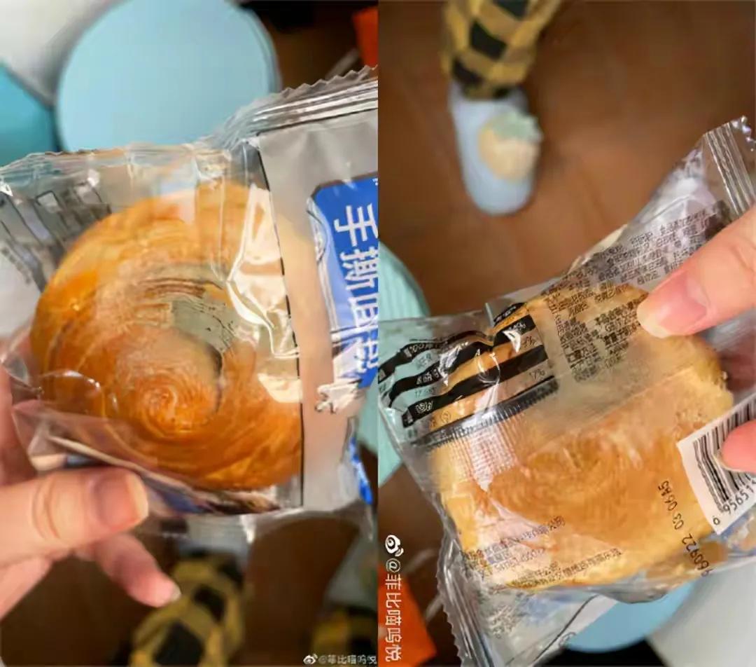 加拿大鹅事件时评,最近关于加拿大鹅的事件的起因