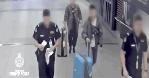 澳大利亚海关禁带物品清单查询,澳洲禁止入境物品最新规定