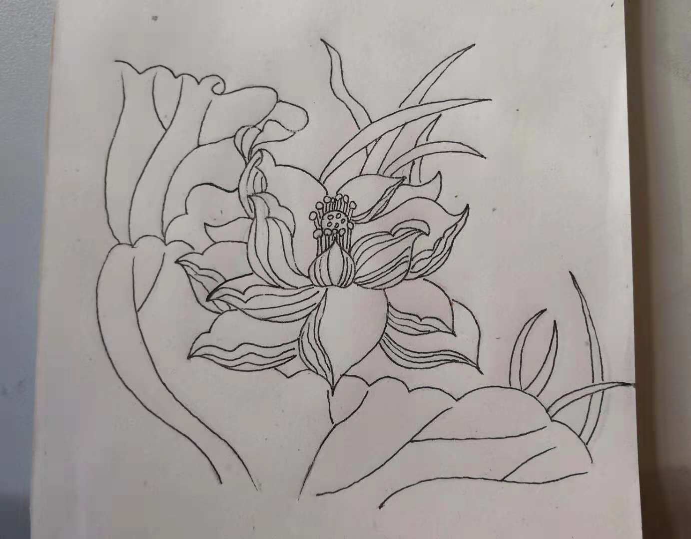 荷花简笔画10000例图片,蜻蜓的简笔画和荷花的简笔画