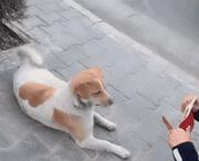 只能亮度调亮才能看得懂的梗,调高亮度才能看懂的梗