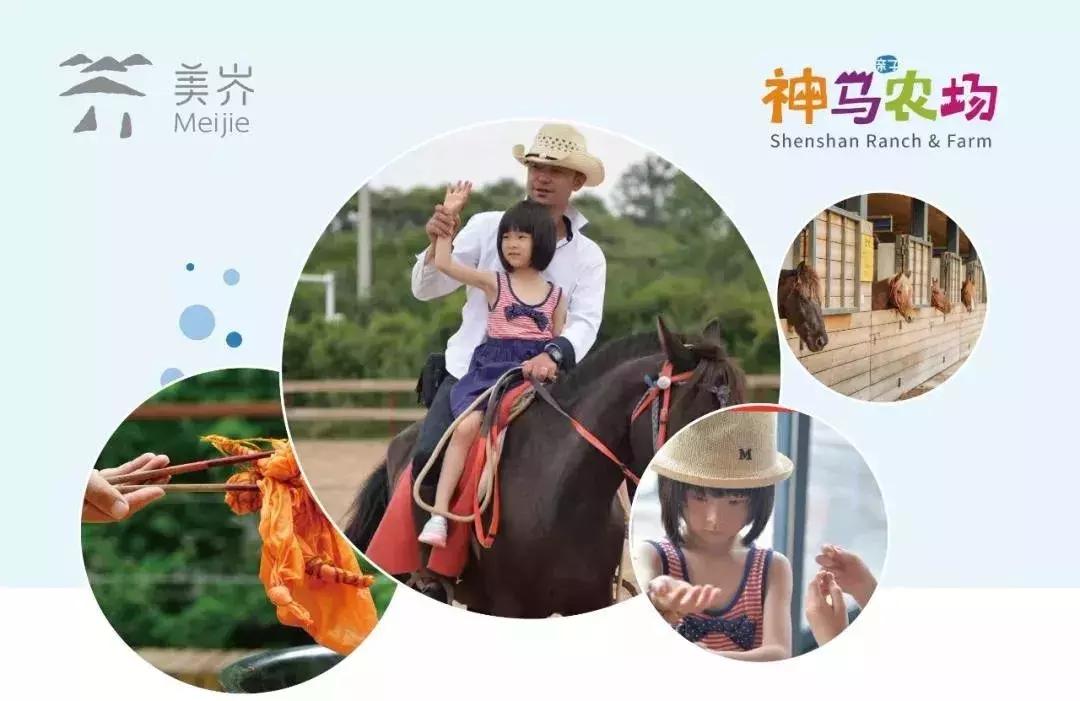 这家藏在村子里的网红民宿,隐藏在深山里面的生态度假村