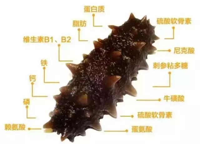 海参常见的六种吃法,海参焯水过烂了营养会流失吗