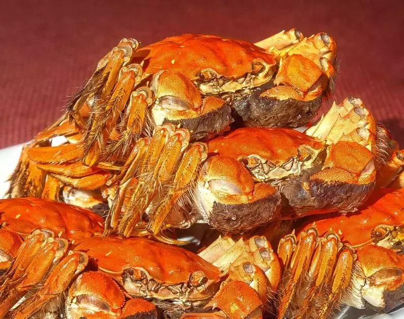 高淳固城湖螃蟹江宁店哪家正宗,固城湖螃蟹产业经验总结