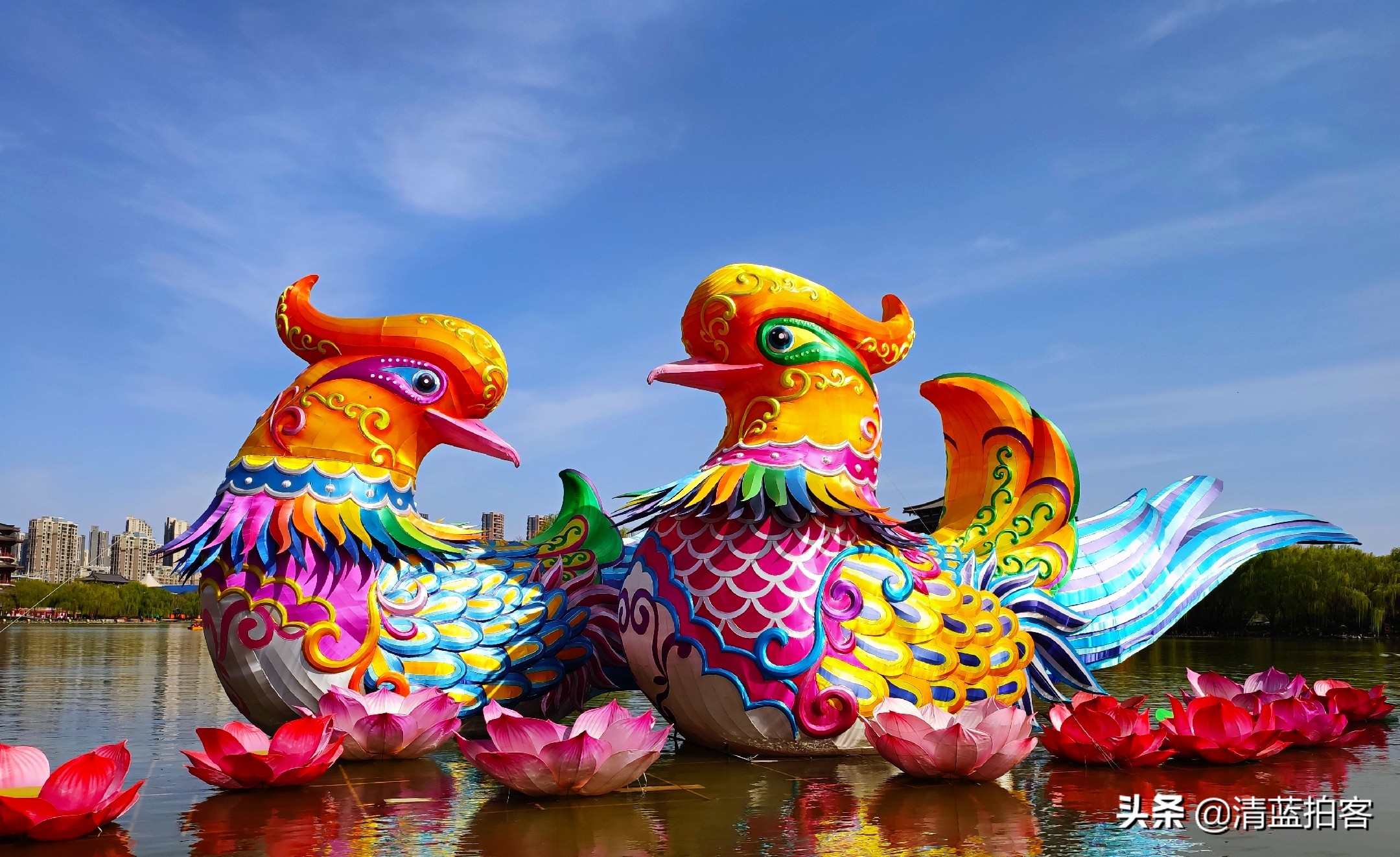 西安大唐芙蓉园要不要门票,西安大唐芙蓉园门票价格优惠政策