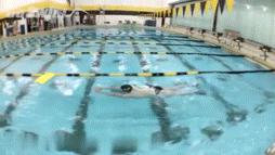 打腿练习是游泳基础,初学自由泳打腿方法与技巧