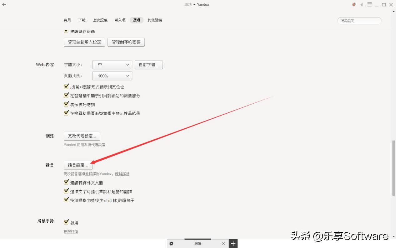 俄罗斯最大的浏览器,俄罗斯的浏览器