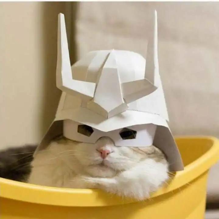 工商管理和会计哪个考研好,工商管理考研学校难度排名