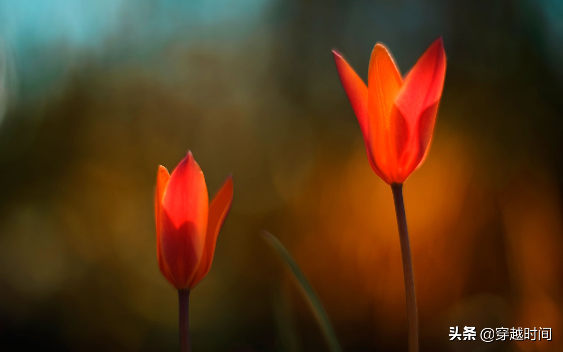 windows8原版桌面壁纸,windows8.1桌面壁纸图文