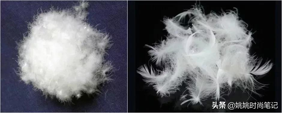 鸭绒或鹅绒充绒量多少暖和,是鸭绒服好还是鹅绒服好