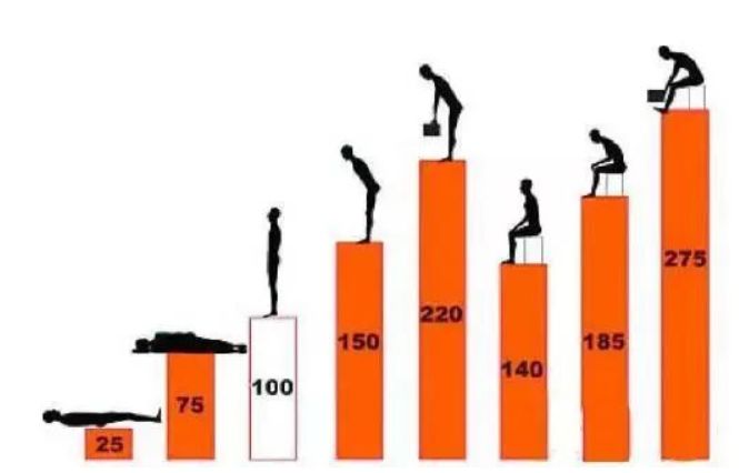京东人体工学腰垫,人体工学腰垫品牌推荐