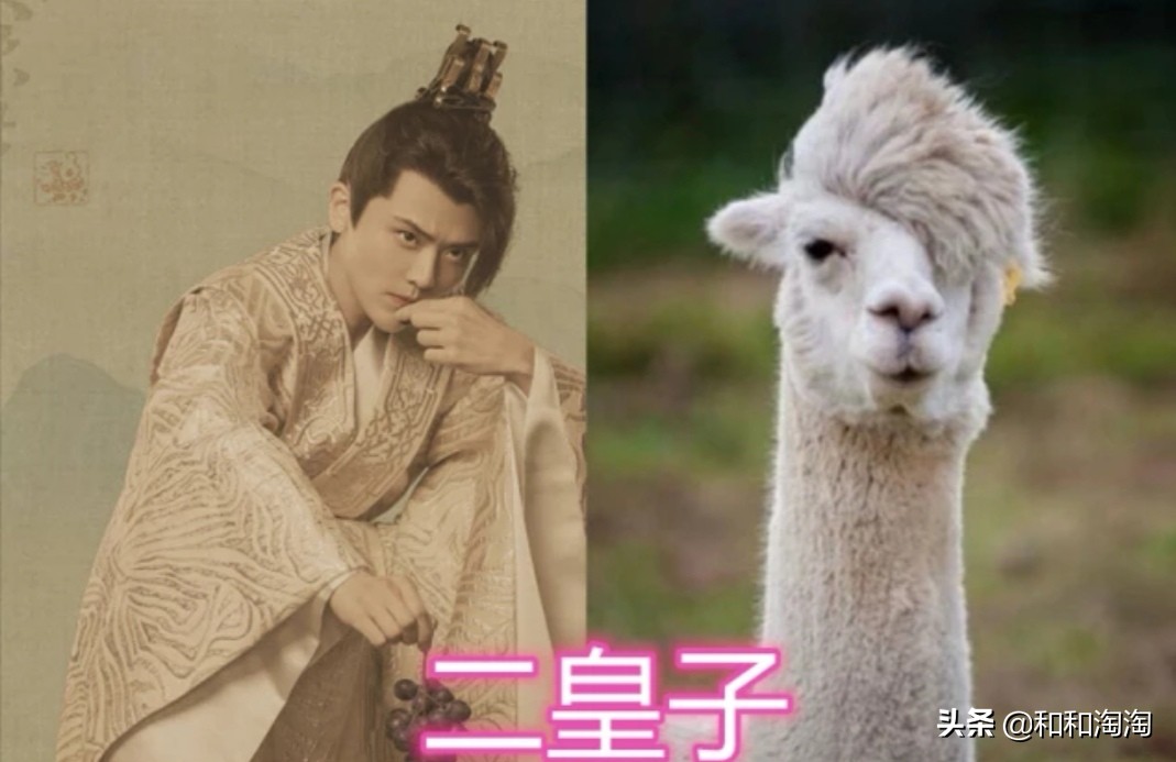 庆余年羊驼搞笑,庆余年动物搞笑图片