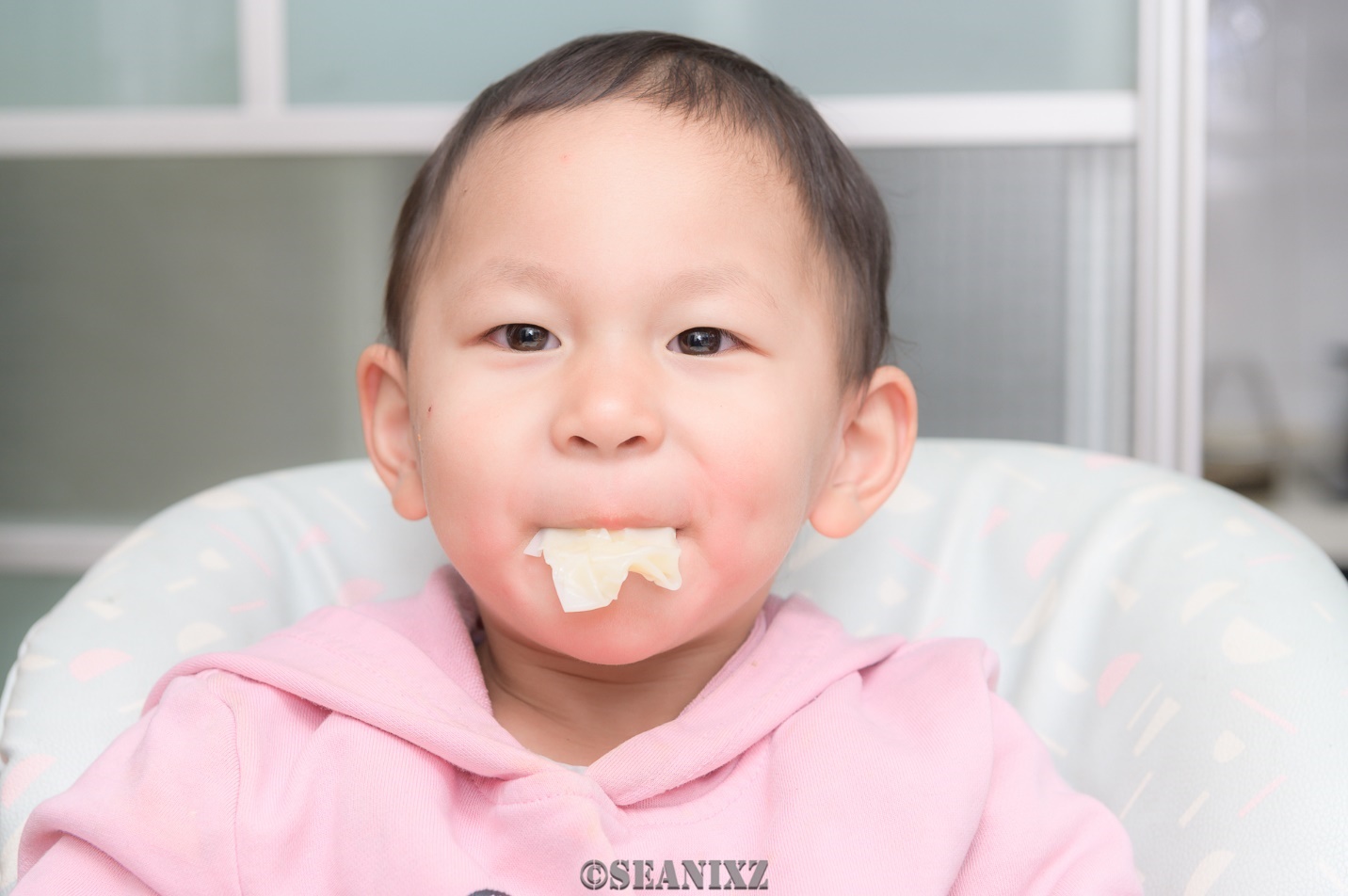 kitchenaid多功能厨师机,kitchenaid多功能食物料理机