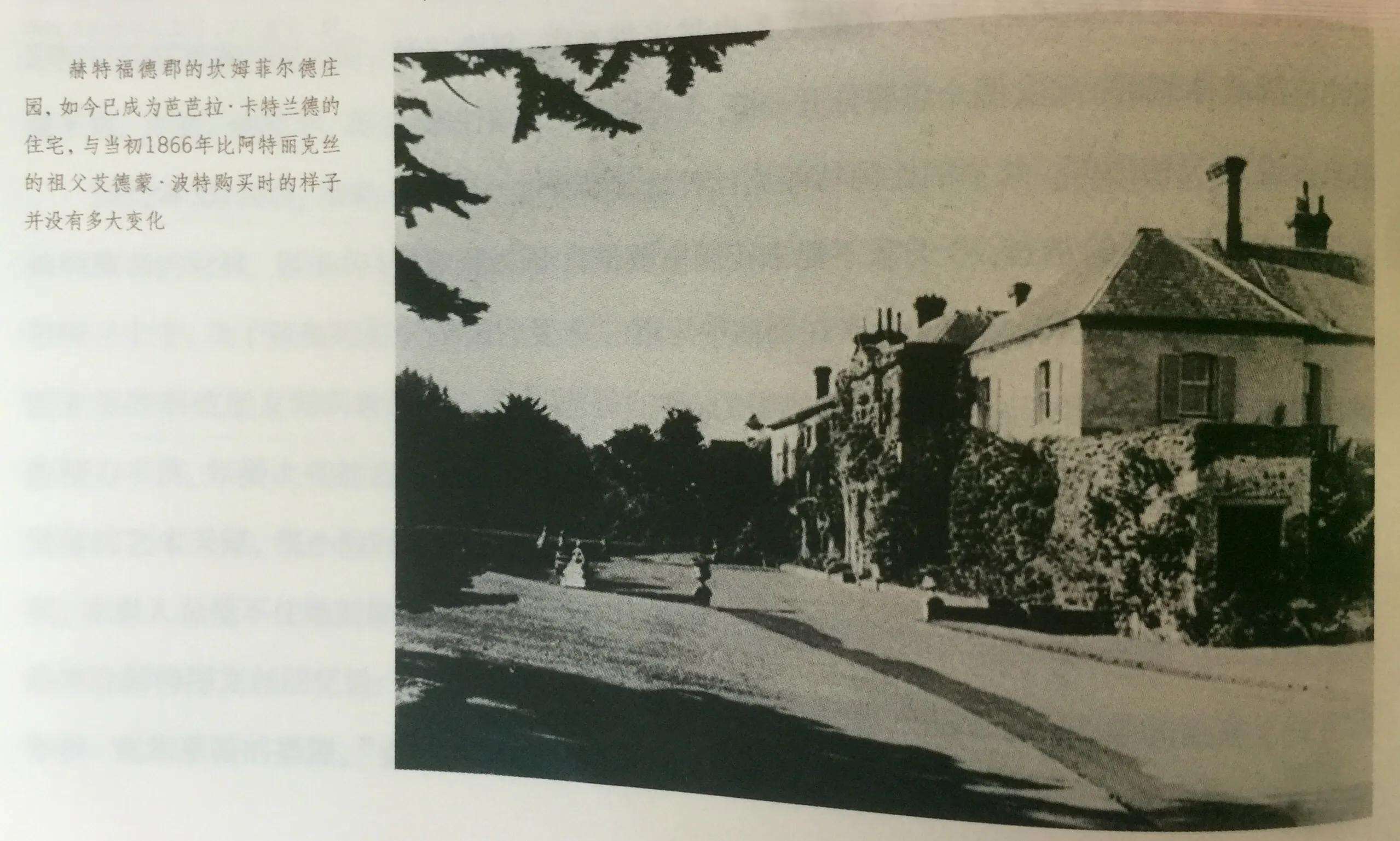 《永远的波特——彼得兔的妈妈》：揭晓彼得兔经久不衰的魅力所在