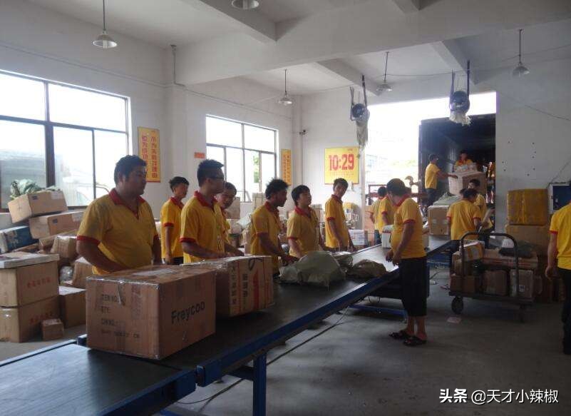 韵达快递分拣工作累不,韵达快递分拣一天的工作流程