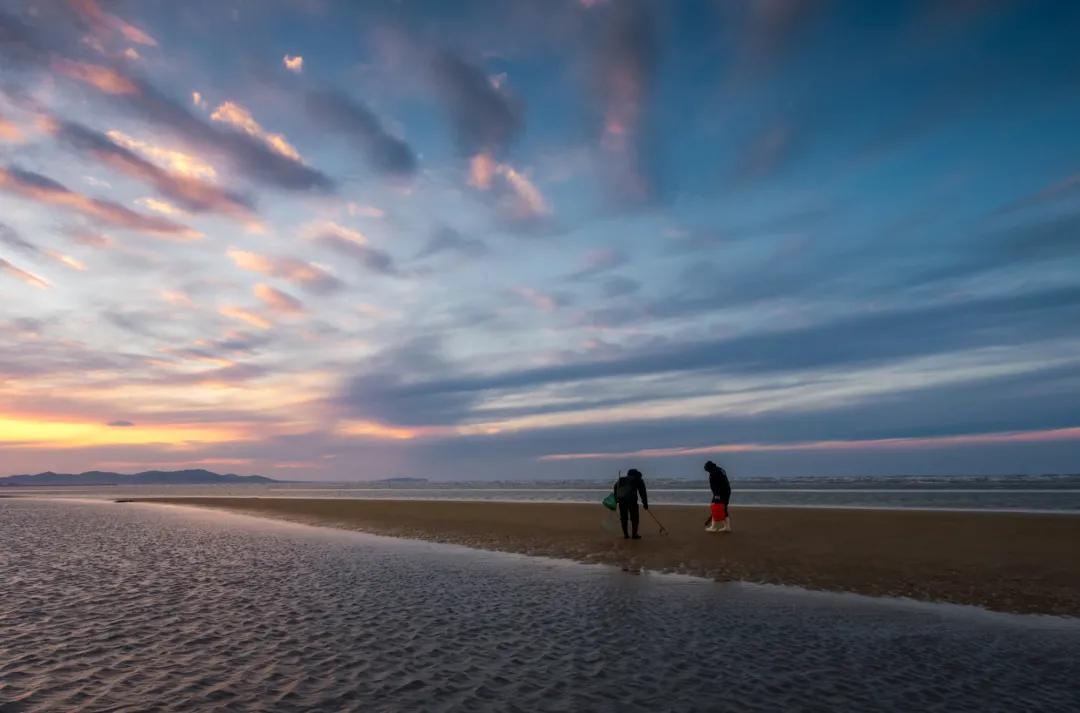 蚬子蛏子蛤蜊什么区别,长条的蛤蜊蛏子叫什么