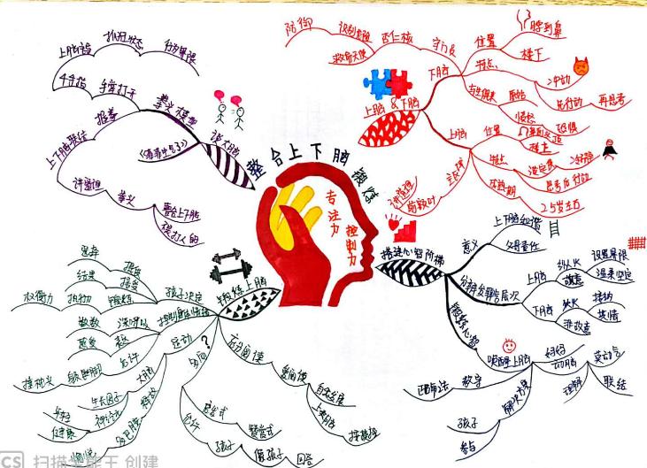 思维导图多大适合孩子学,有必要让孩子学思维导图吗