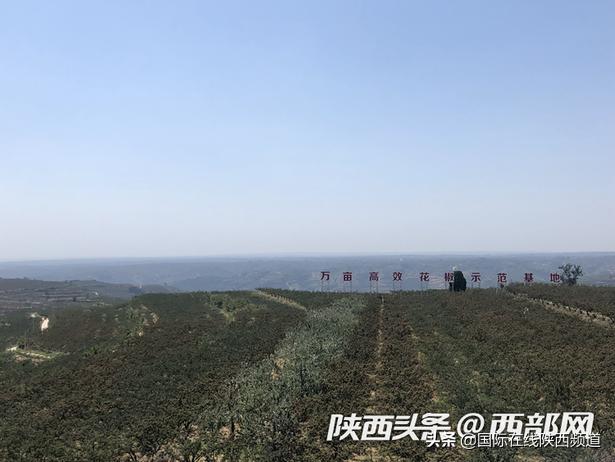 记者再走长征路固原,记者再走长征路演出