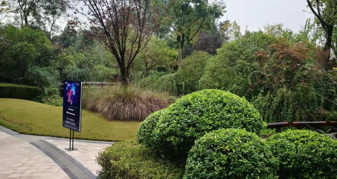 郫县蔚蓝卡地亚云墅,蔚蓝卡地亚云墅发展