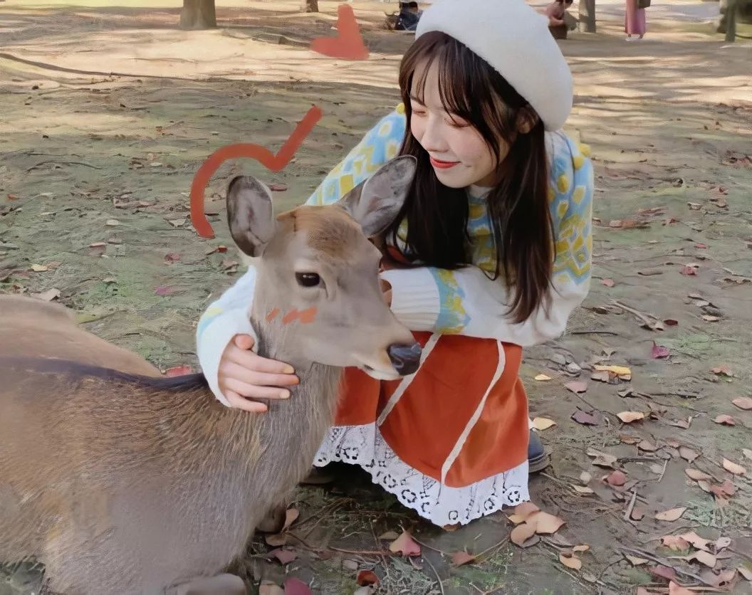 拍照不显胖不显矮的姿势,明明长得挺好看就是照相很丑