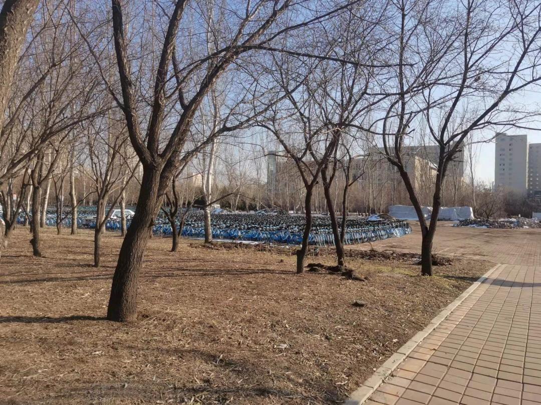 吉林大学校园介绍,吉林大学南岭校区设施