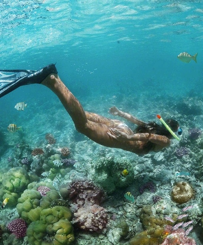 双层梦幻水屋，你要的马尔代夫性价比最高六星岛