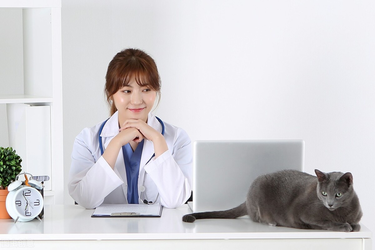 小狗冠状病毒还拉肚子呕吐,宠物出现呕吐