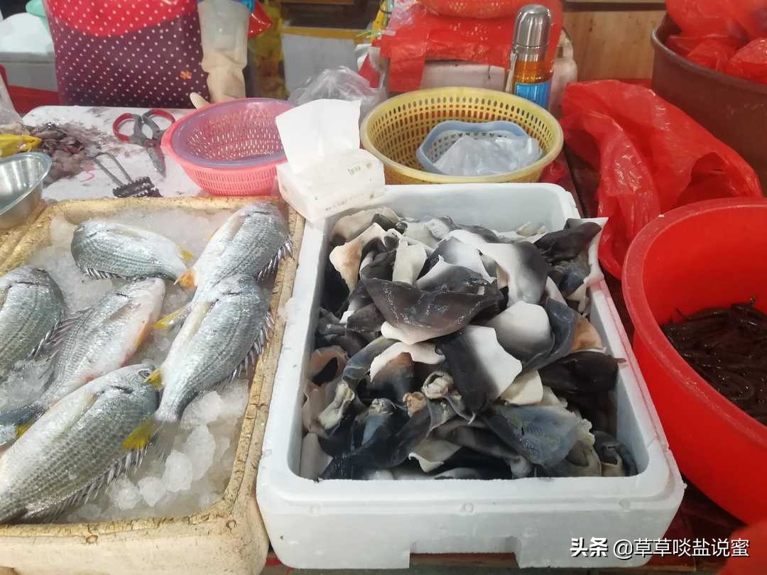 鲨鱼皮怎么做最有胶原蛋白,鲨鱼皮熬制方法详细