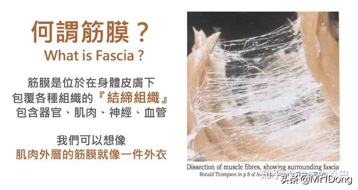 想买个筋膜枪哪个牌子好,100元左右筋膜枪哪个牌子好