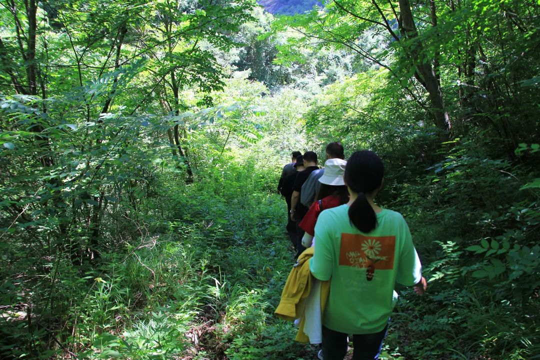 学会这3个小方法轻松买到真蜂蜜,一分钟带你如何辨别蜂蜜