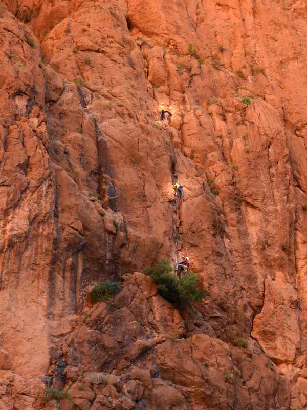 撒哈拉沙尘暴照片,撒哈拉沙漠沙尘暴实拍