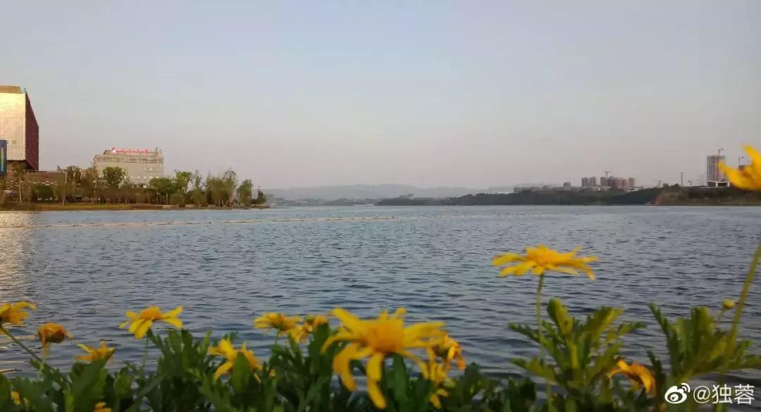 成都市区小众景点免费,成都冷门旅游景点推荐