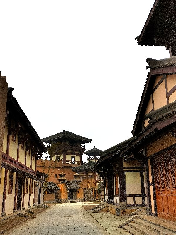 都匀茶旅小镇,都匀毛尖茶园基地游玩