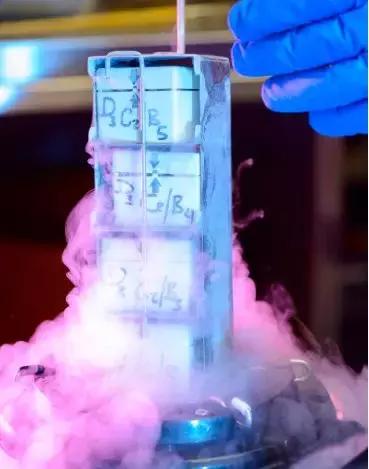 冻卵的真实原因,不允许冻卵的真实原因