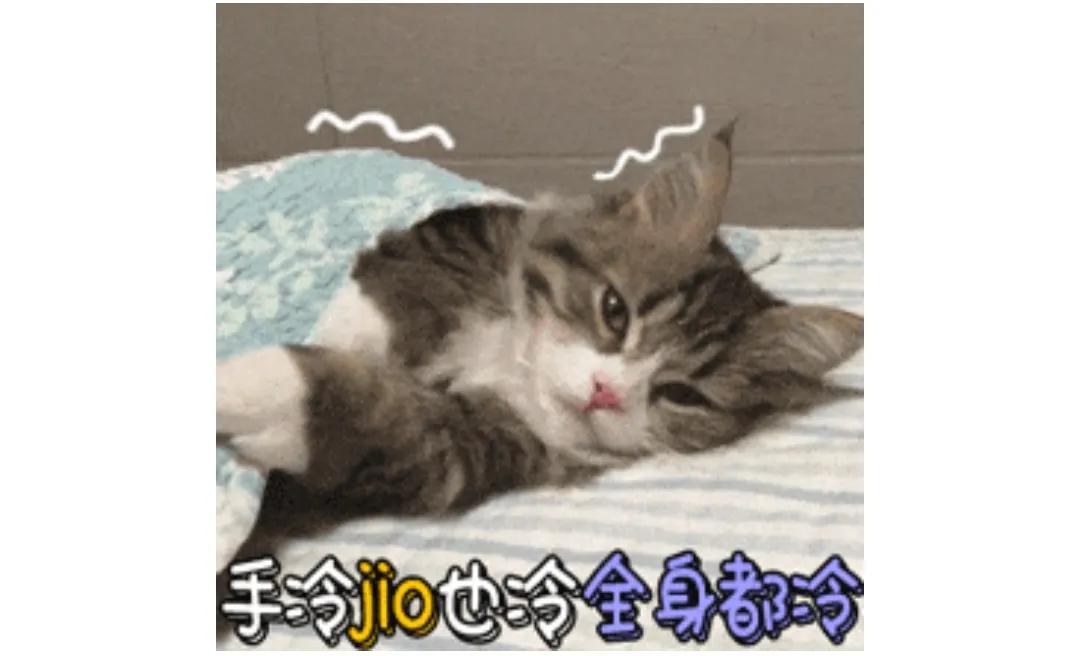 暖脚袜女款,暖脚袜女